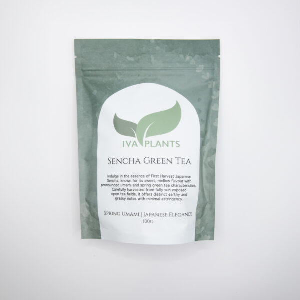 IVA Plants Sencha Japanese Green Tea in eco-friendly packaging, vibrant green tea