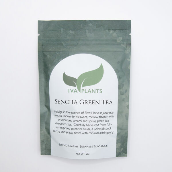 IVA Plants Sencha Japanese Green Tea in eco-friendly packaging, vibrant green tea