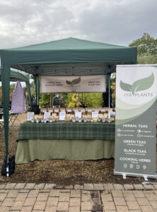 IVA Plants full stall at Crocus at Dorney Market, showcasing herbal, Japanese green, and black Ceylon teas